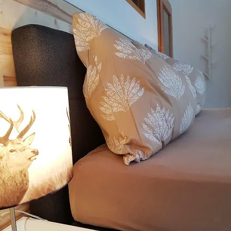 Appartementhaus Zraunig Lejlighed Flattach
